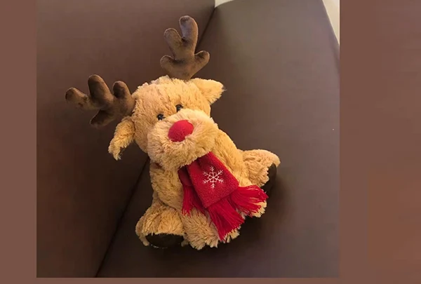 Vedligeholdelse af plys legetøj